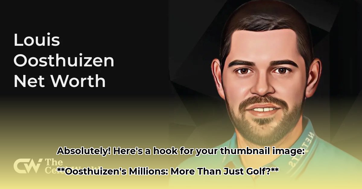 louis-oosthuizen-net-worth